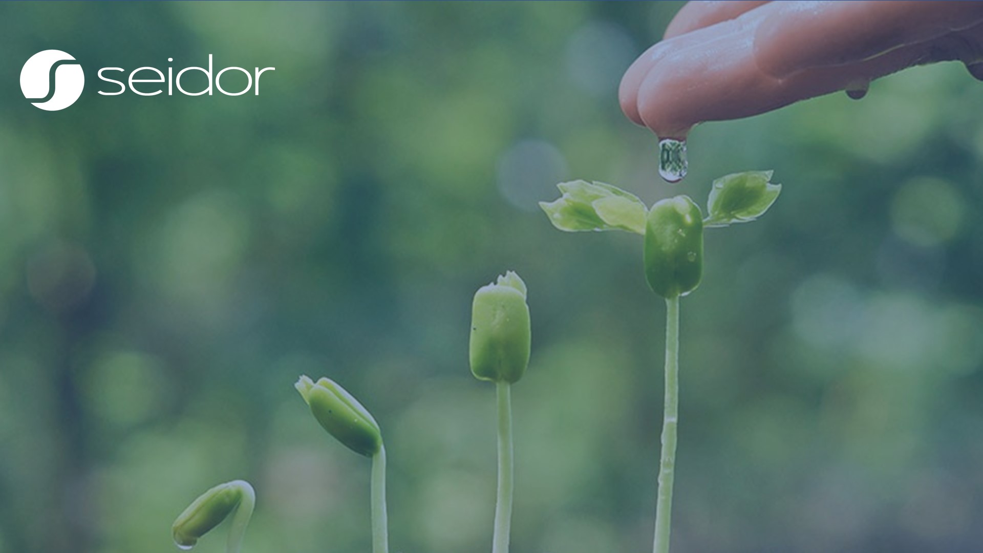 SOLUCION SEIDOR AGRO- Intro