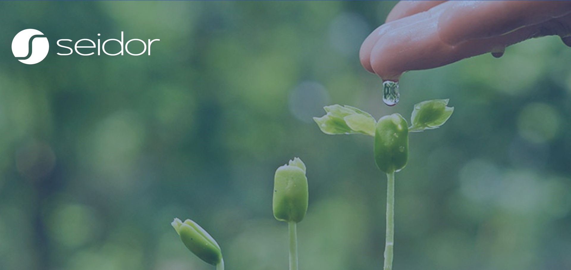 Seidor Agro: el internet of things aplicado a la agricultura.